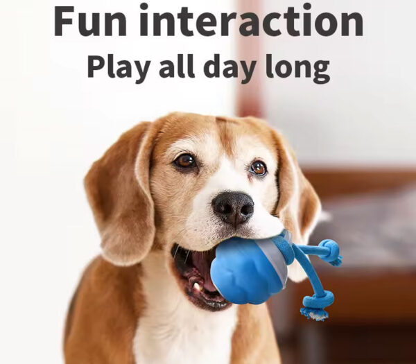 Interactive Dog Ball Toys Touch Activated Automatic Rolling Toy for Puppy Dog USB Rechargeable Squeaky Jumping Ball Pet Toys - Image 3