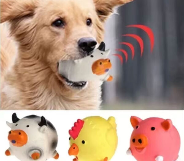 Pet dog vocal toy