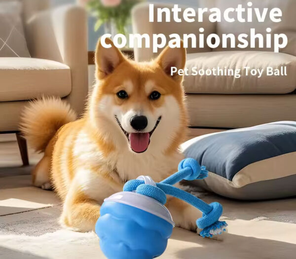 Interactive Dog Ball Toys Touch Activated Automatic Rolling Toy for Puppy Dog USB Rechargeable Squeaky Jumping Ball Pet Toys - Image 4