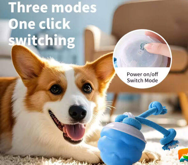 Interactive Dog Ball Toys Touch Activated Automatic Rolling Toy for Puppy Dog USB Rechargeable Squeaky Jumping Ball Pet Toys - Image 5