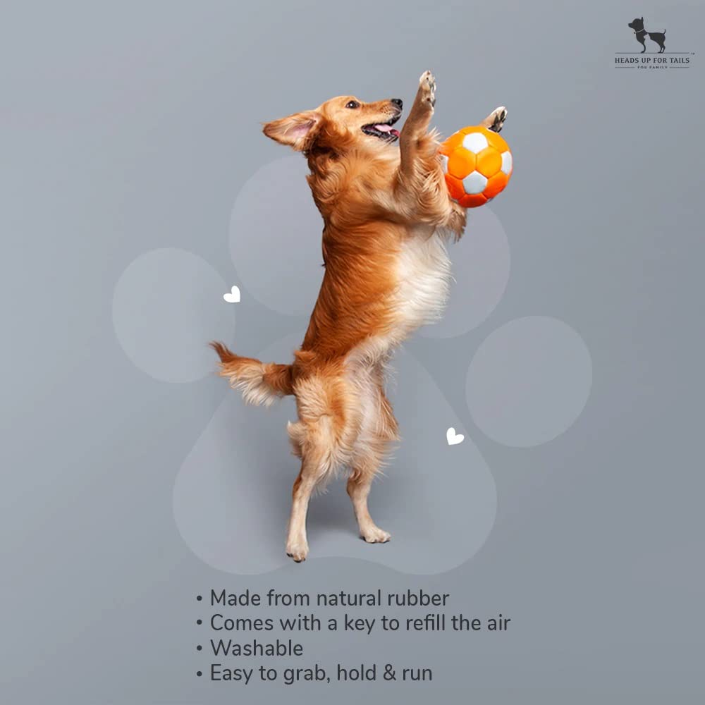 Football Dog Toy (L) – Heads Up For Tails - Image 5