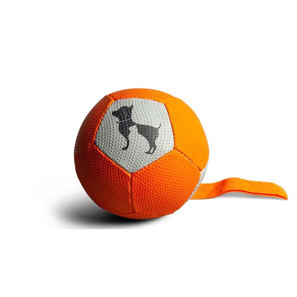 Football Dog Toy (L) – Heads Up For Tails