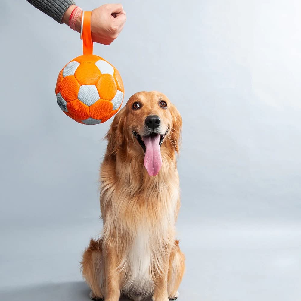 Football Dog Toy (L) – Heads Up For Tails - Image 3