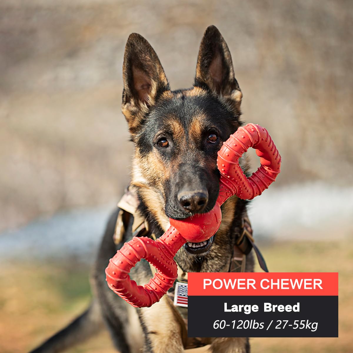 Natural Rubber Dog Toy – Large, Red, Black (Pack of 2) - Image 3