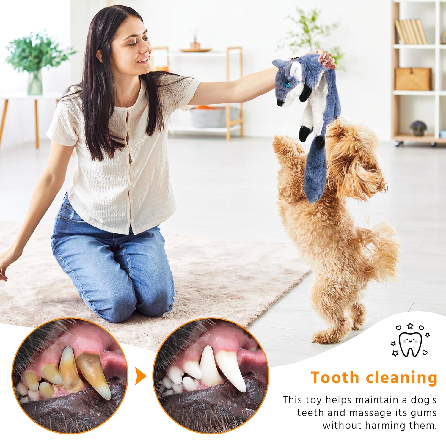 5-Pack No-Stuffing Squeaky Dog Toys – Plush & Durable (Pack of 5) - Image 4