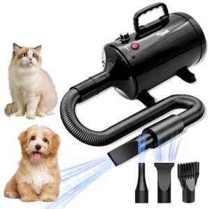 Blow Dryer with Heater for Grooming